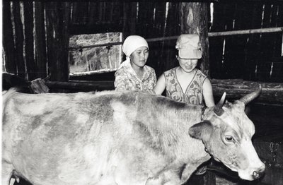 ДиректорШк (7).jpg