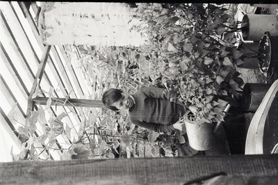 Юннаты2 (2).jpg