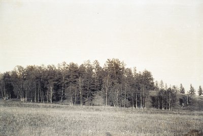 Одноклассники поход (5).jpg