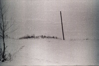 Гарнизон Белая ППЛС (33).jpg