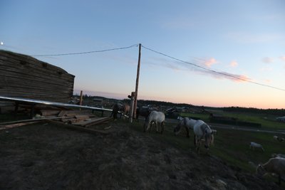 A94W9490.JPG