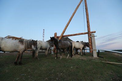 A94W9492.JPG