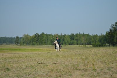 DSC_0243.JPG