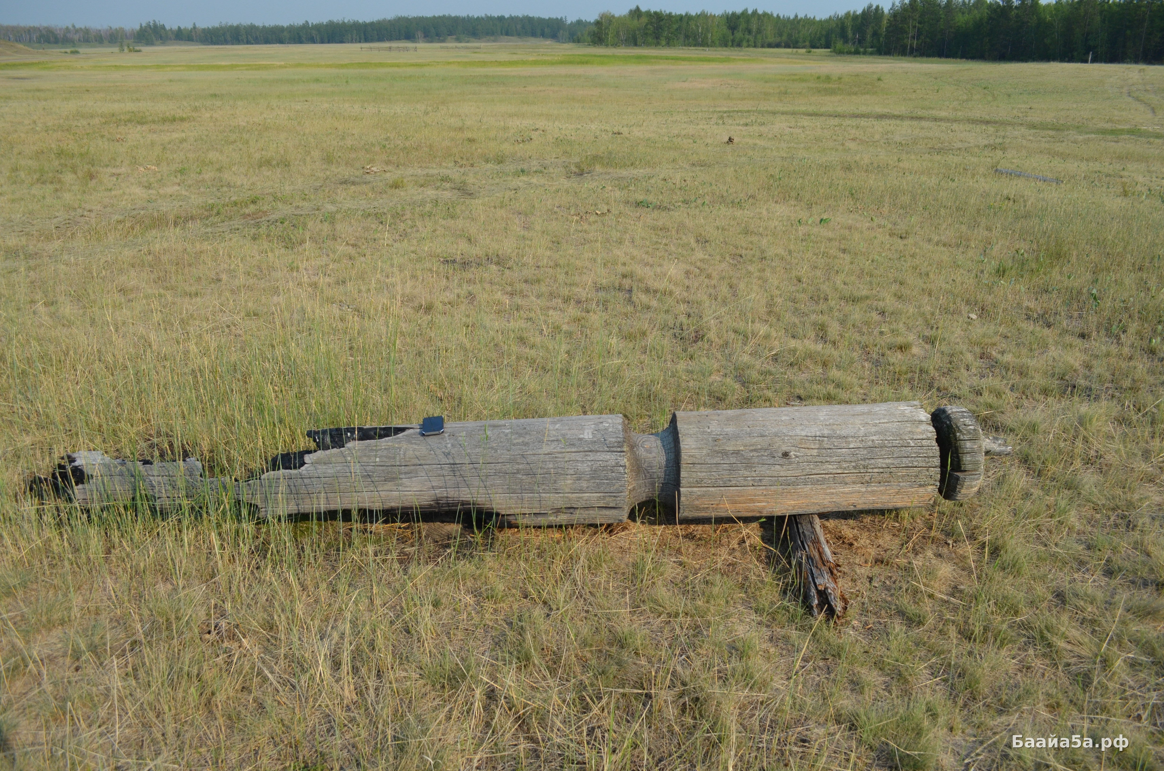 DSC_0313.JPG