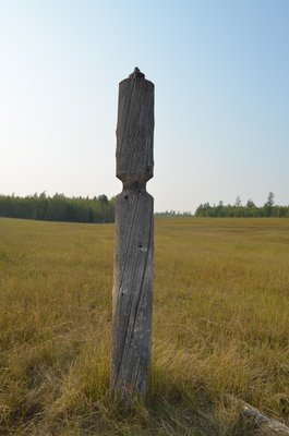 DSC_0350.jpg