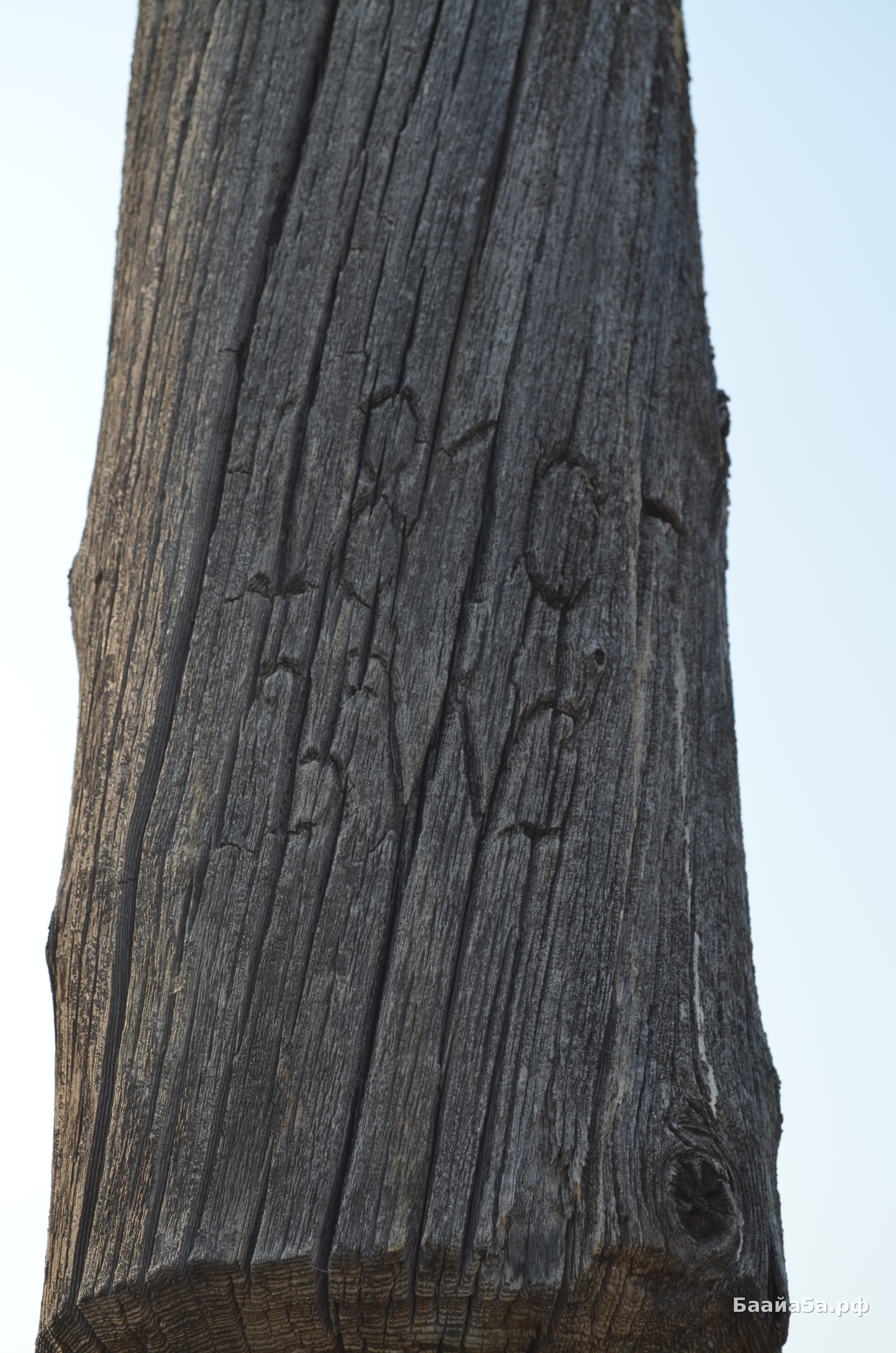 DSC_0352.jpg