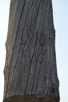 DSC_0352.jpg