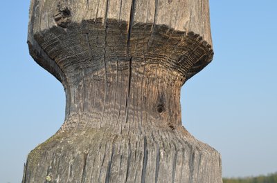 DSC_0356.JPG