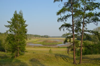 DSC_0368.JPG
