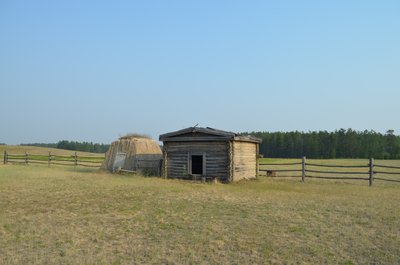 DSC_0390.JPG