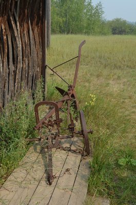 DSC_0410.jpg
