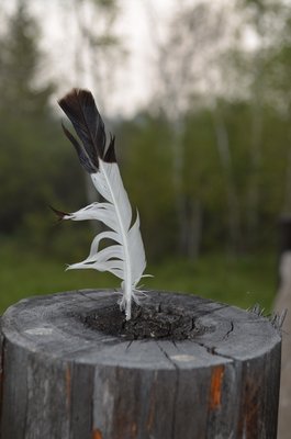 DSC_0413.jpg