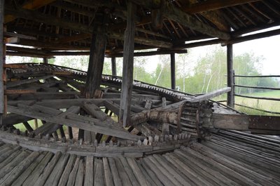 DSC_0417.JPG